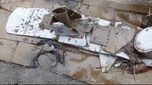 Four Cardboardia wrecks EXPOSED out of water