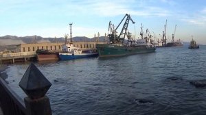 Порт Новороссийск Зерновой терминал Shipspotting