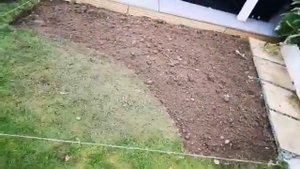 КАК СОЗДАТЬ НОВЫЕ КЛУМБЫ на газоне: мой личный опыт и советы.