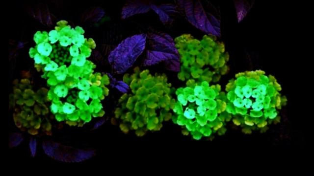 Стекает кровь с креста смотреть онлайн