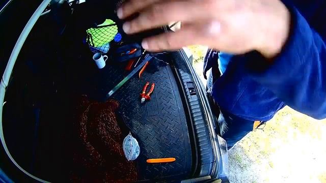 Установка защиты от кошек в VW TIGUAN смотреть онлайн