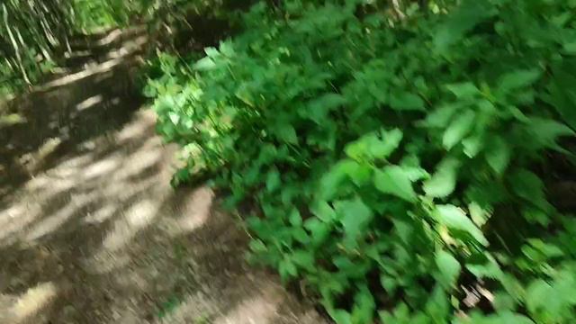 ЭКСТРЕМАЛЬНЫЙ ПОХОД НА РОДНИК ЧЕЛЛЕНДЖ! смотреть онлайн