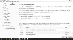 25  Tomcat专题   WebSocket   Tomcat的支持