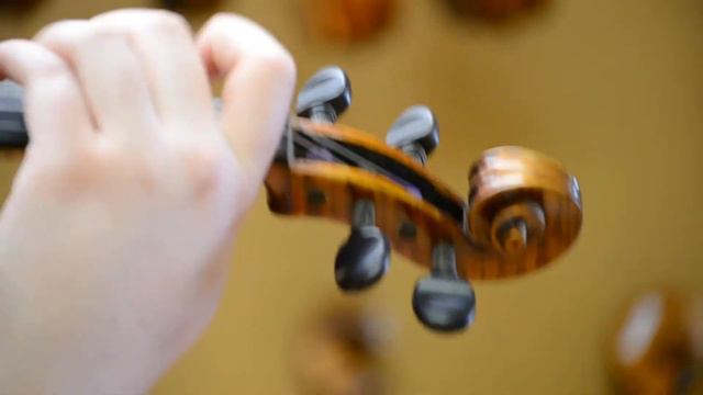 CL Wynn 520 смотреть онлайн