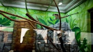 МИНИ ПУТЕШЕСТВИЕ▶️ СГОНЯЛИ В КАЛУГУ ЖИВОТНЫХ ПОСМОТРЕТЬ▶️ ПАРК БИОСФЕРА