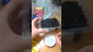 Цинерария Кровавая комнатная. Посев семян.