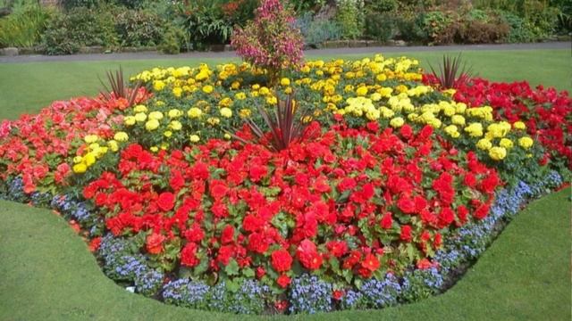ВАРИАНТЫ КРАСИВЫХ КЛУМБ #клумбы #идеидлясада