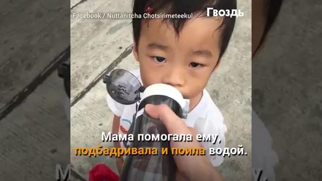 Шок,мама отправила собирать сына мусор,и причина поразила весь мир. смотреть онлайн