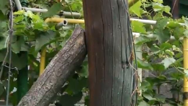 Новые столбы без работы, старые - работают. смотреть онлайн