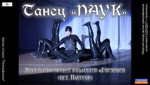 Танец «Паук». Хореографический коллектив «Гармония» (пгт. Плесецк). #Фестивали, конкурсы, концерты.