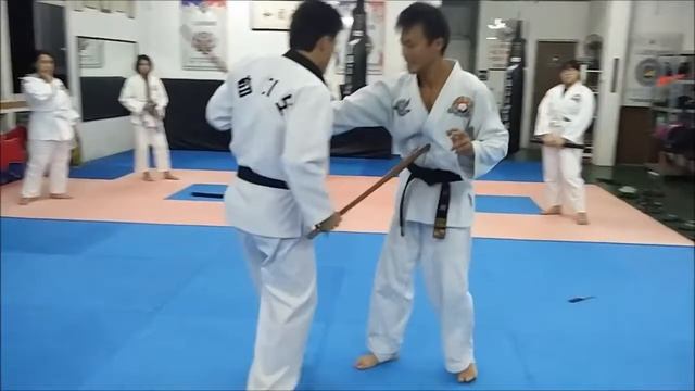 Master Alton, HAPKIDO Hosinsool Basic Concepts & Relations of Techniques смотреть онлайн