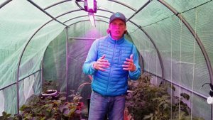 Особенности выращивания растений в умной теплице