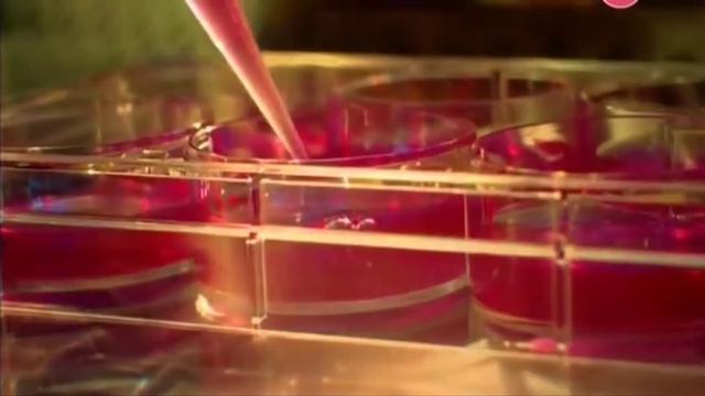 ЗАЧЕМ НАС ДЕРЖАТ ВЗАПЕРТИ? ПОЧЕМУ И КТО ЭТО ДЕЛАЕТ? КАРАНТИН КОТОРЫЙ МЫ ЗАСЛУЖИЛИ... [2020] смотреть онлайн