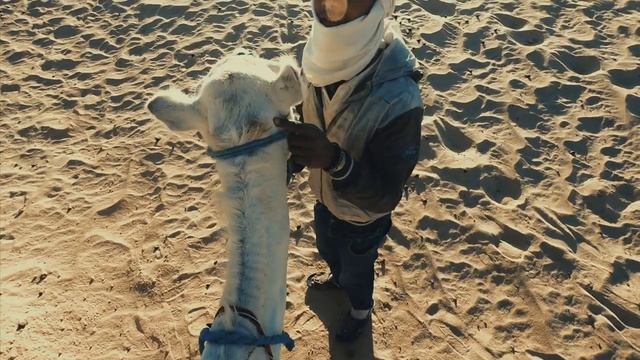 Тусич по Сахаре смотреть онлайн