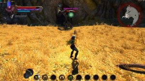 Лучник. Kingdoms of Amalur Re-Reckoning