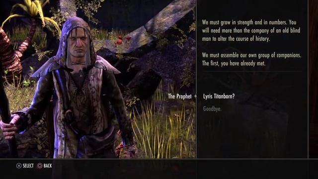 The Elder Scrolls Online: Tamriel Unlimited PLAYSTATION 4 Gameplay смотреть онлайн