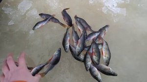 Озеро Волоярви 29.12.2017