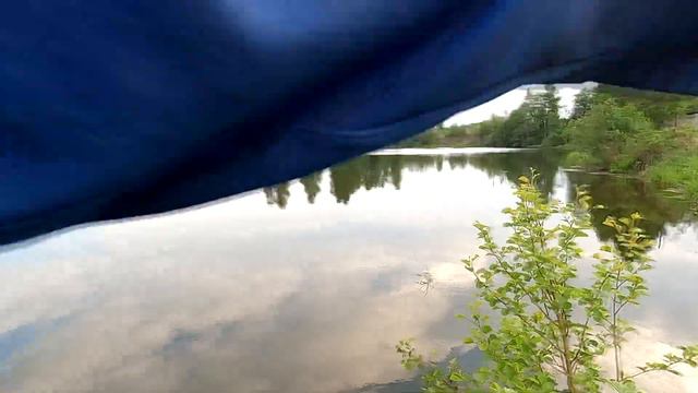 Летняя рыбалка на пруду 2023. Сломал удочку . смотреть онлайн