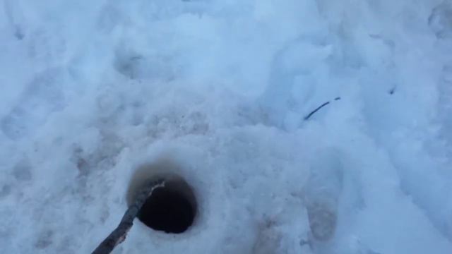 с сыном