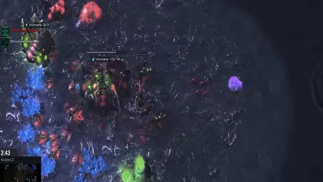 Bug Vs Zerg Action Platinum Level Starcraft 2