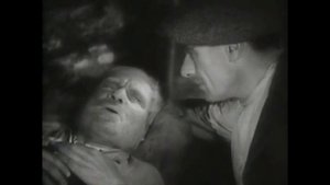 Партизаны в степях Украины (1942). СССР (2 из 2)