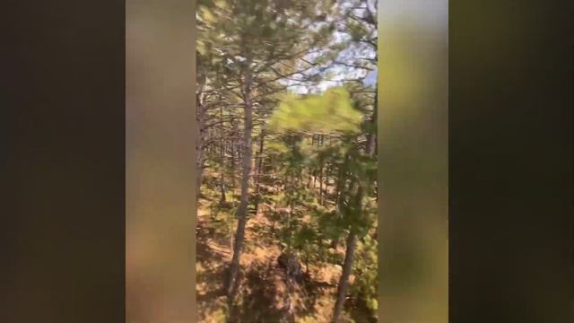 Крым. Восхождение на гору Ай-Петри. Подвесная канатная дорога. #канатнаядорога #крым #айпетри