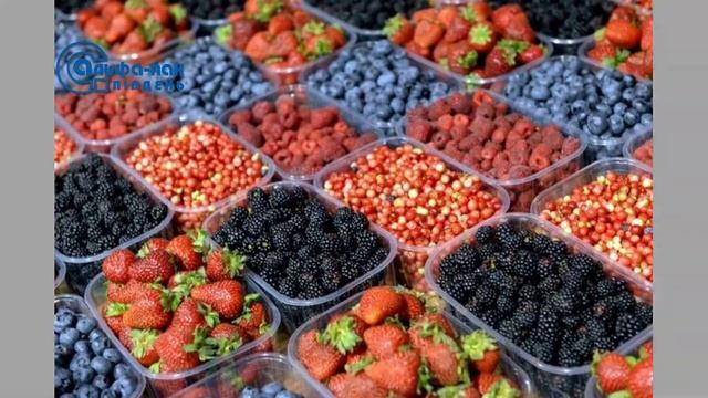 Альфа Пак Юг. Упаковка под ягоду. смотреть онлайн