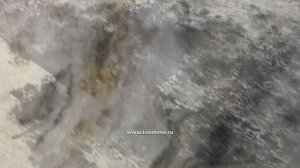 Композитный мраморный шпон. Технология самостоятельного производства.