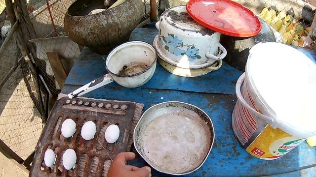 Куры клюют и едят яйца , небольшой совет . смотреть онлайн