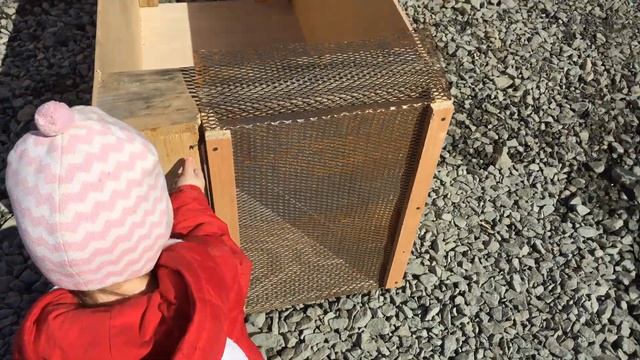 КРОЛИКАМ 3 МЕСЯЦА ВЗВЕШИВАНИЕ КЛЕТКА ДЛЯ КРОЛИКОВ СВОИМИ РУКАМИ АЛЕНУШКА ЯМАЛ ALENUSHKA YAMAL смотреть онлайн