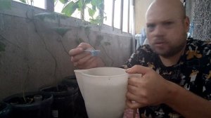 Огурцы на балконе 2. Маленький огород дома.