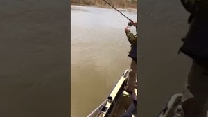 рыболовно-охотничья база "7-ая Жилка" (Астраханская область , Никитинский банк)