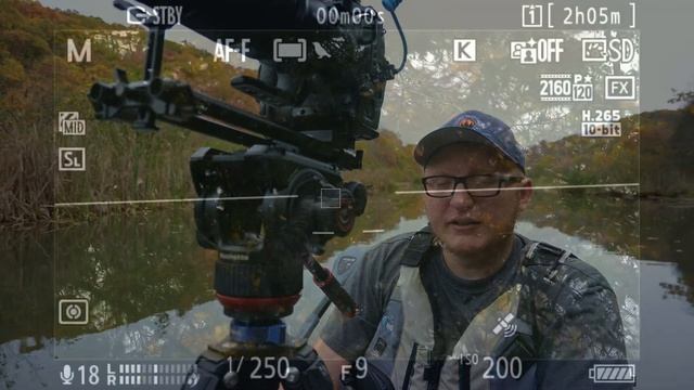 Nikon Z9 Firmware 4.10 - Bird Autofocus - First Opinions смотреть онлайн