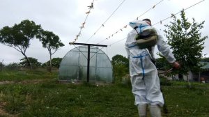 КОШУ ТРАВУ ВО ДВОРЕ / В КОСТЮМЕ ОТ ЗАЩИТЫ  КОРОНАВИРУСА #косилка #трава #клубника