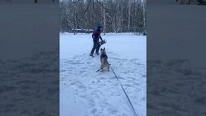 Ка де Бо Хави на занятиях по Защитно Караульной Службе
