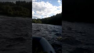 Водомет Карась р. Кокшеньга