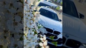 Новая Цыганская песня 2022 Меняется Погода