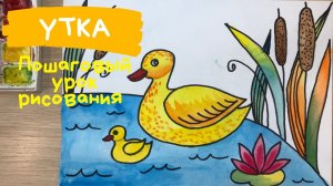 Утка с утятами рисунок. Как нарисовать УТКУ ребенку. Рисунок УТОЧКИ. Утка рисунок для детей.