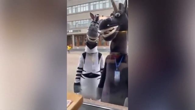 Юмор ... Смех ... Шутки ...10 минут смотреть онлайн