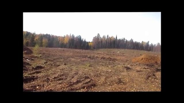 Незабываемо