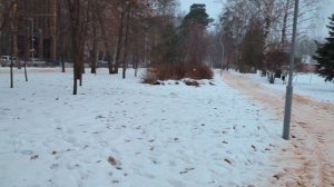 Полный обзор камеры Google Pixel 7.