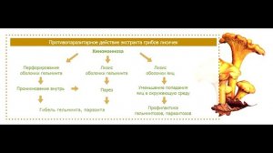 Неумывакин: ОЧИЩЕНИЕ ОТ ПАРАЗИТОВ