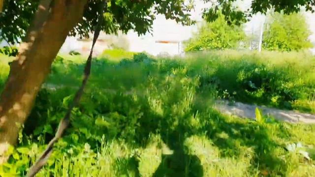 Появление нового знакомого, заставило забыть маленькую домашнюю обезьянку Алексу, даже про клубнику