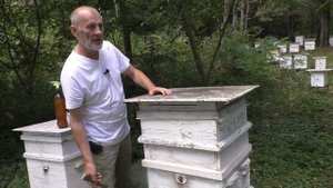 ОБСУШИТЬ СОТЫ И СОХРАНИТЬ ОТ ВОСКОВОЙ МОЛИ.