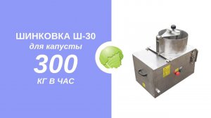 Польская шинковка для капусты Ш-30 / Профессиональная электрическая шинковальная машина