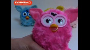 Говорящий ферби Furby Повторяшка Ферби