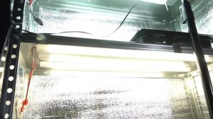 Ферма микрозелени за 3000 рублей своими руками