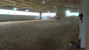 ф/х Крибелевых (Конеферма) Донской жеребец