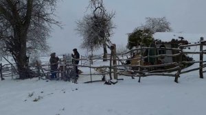 БУРГЕР ИЗ БАРАНИНЫ Азербайджанская Кухня Деревенская Кухня  Рецепты