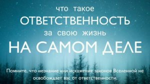 Что такое ОТВЕТСТВЕННОСТЬ за свою жизнь на самом деле.